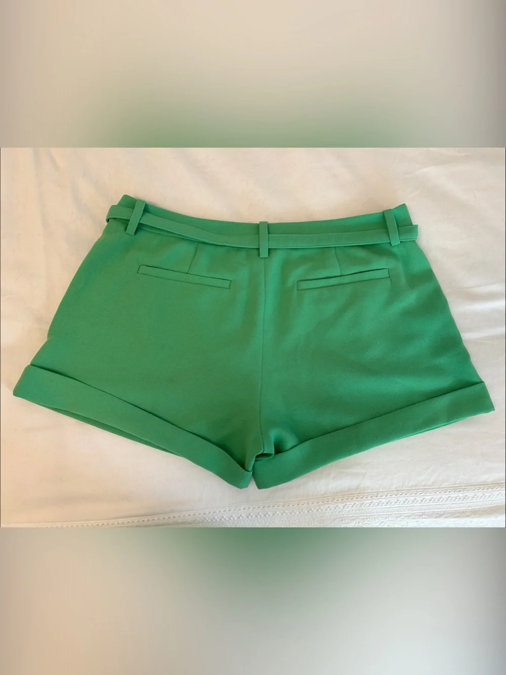 Joie Emerald Mid-Rise Belted Women's Shorts - Picture 4 of 8